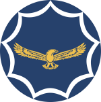 SA Airforce